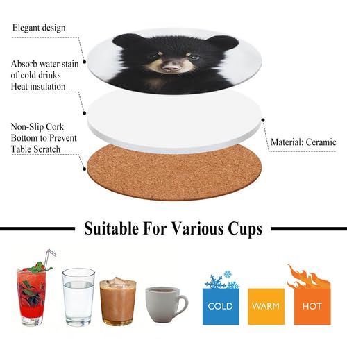 4Pcs Ceramic Coasters with Metal Holder Q746353