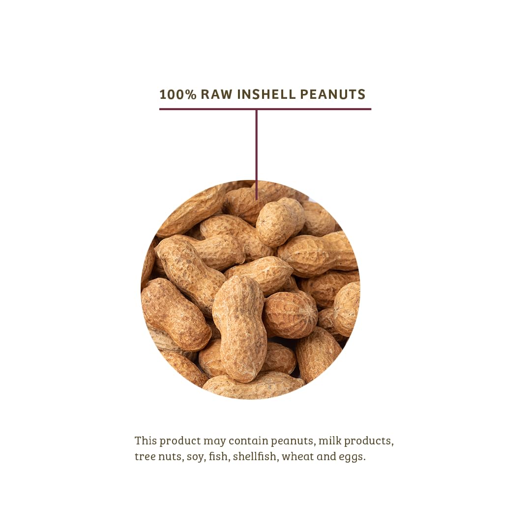 In-Shell Peanuts Wild Bird Food 10lb R509