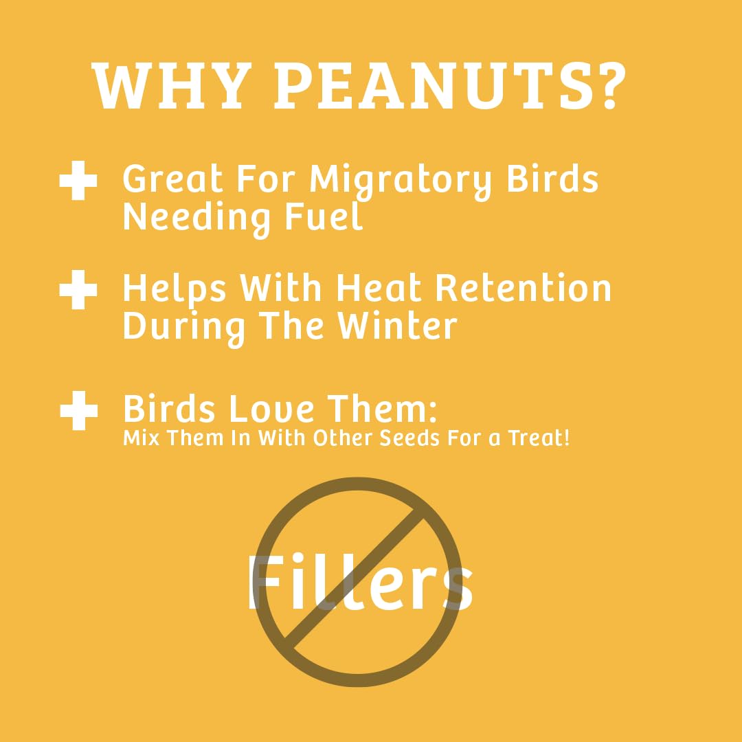 In-Shell Peanuts Wild Bird Food 10lb R509