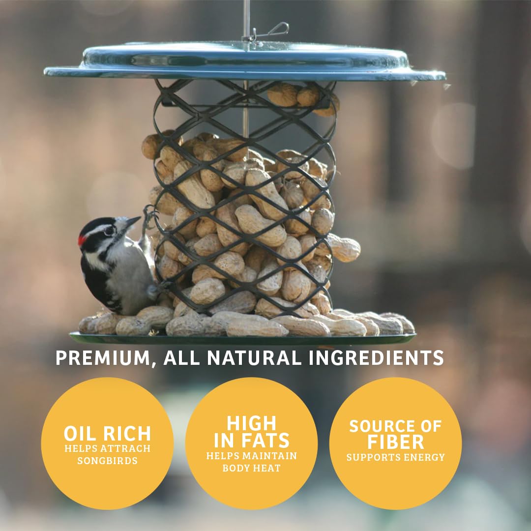 In-Shell Peanuts Wild Bird Food 10lb R509