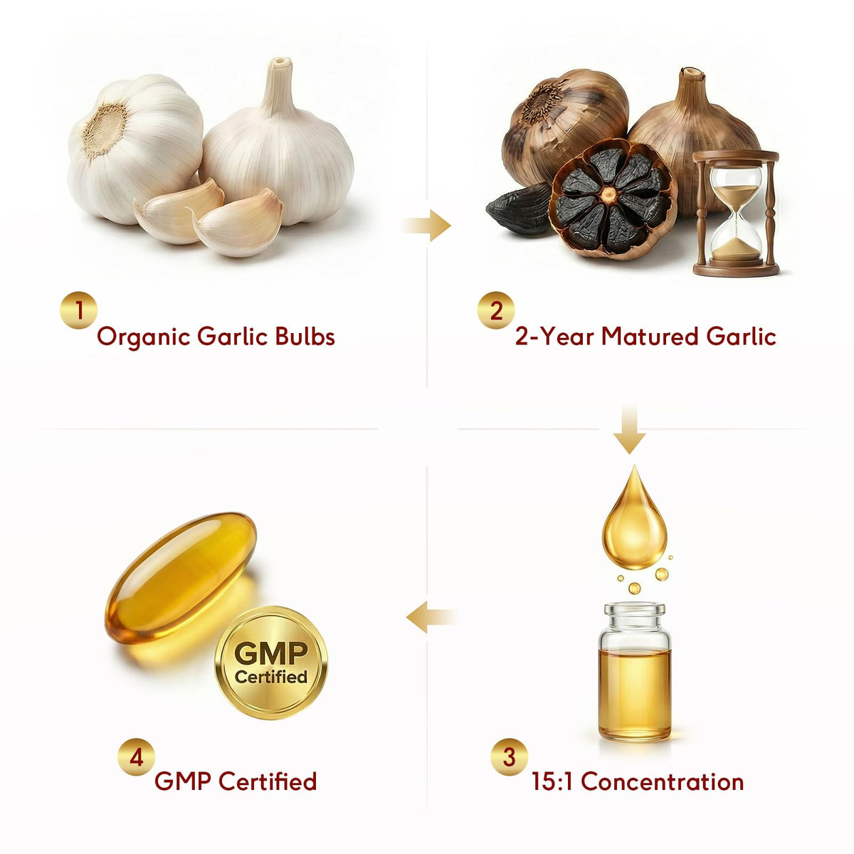 Odorless Aged Garlic Extract 500mg Softgels 300 Count S1543