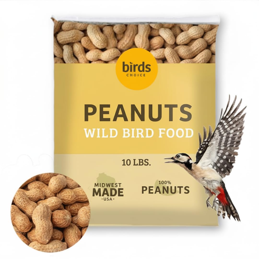 In-Shell Peanuts Wild Bird Food 10lb R509