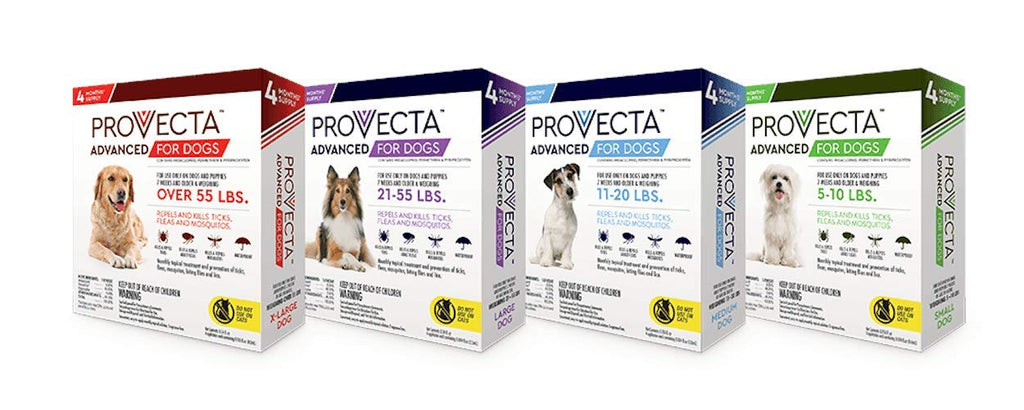 Small 5-10 lb Dog (Pack of 2) P51260