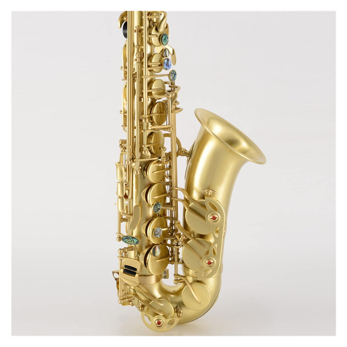 Antique Brushed E Flat Alto Saxophone B5865