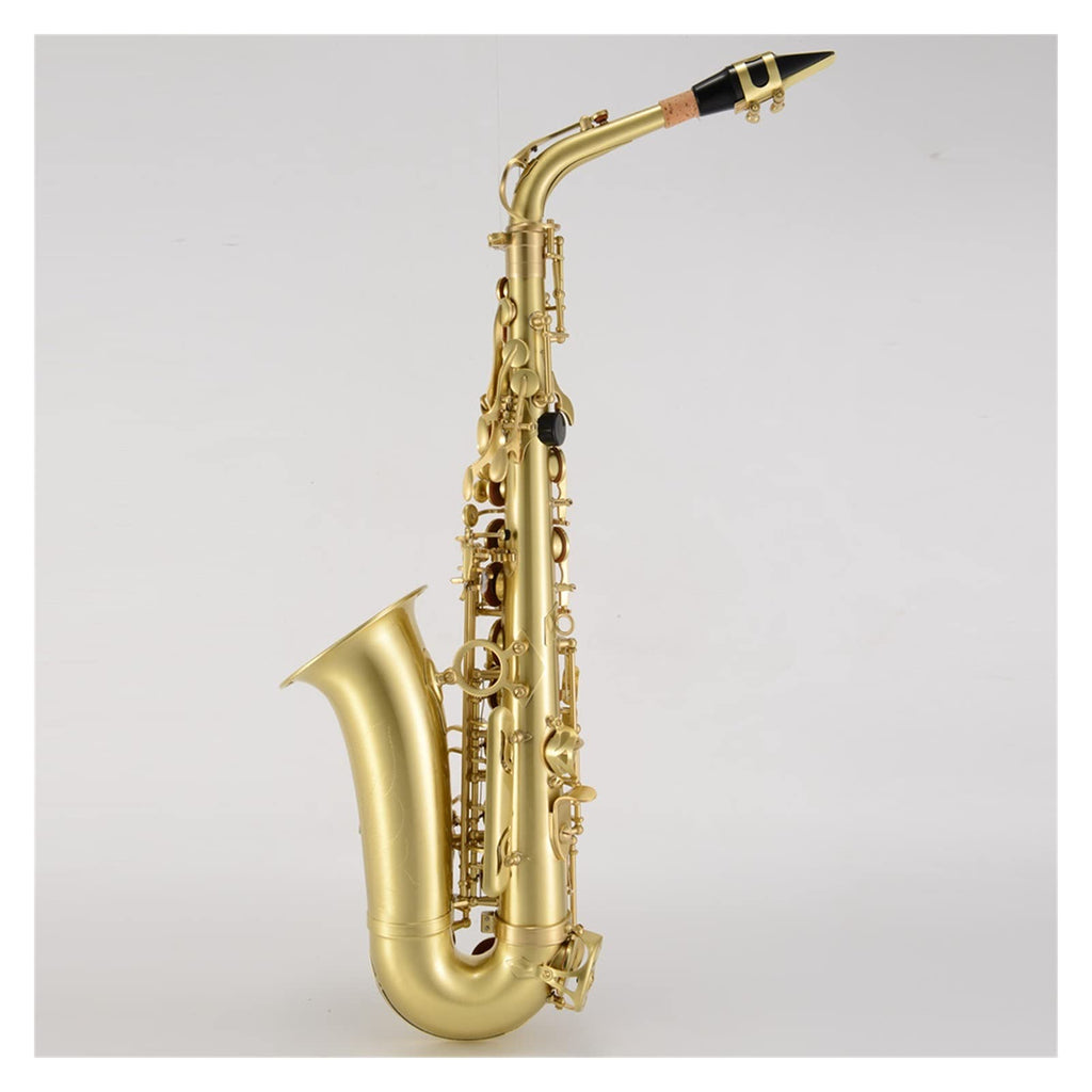 Antique Brushed E Flat Alto Saxophone B5865