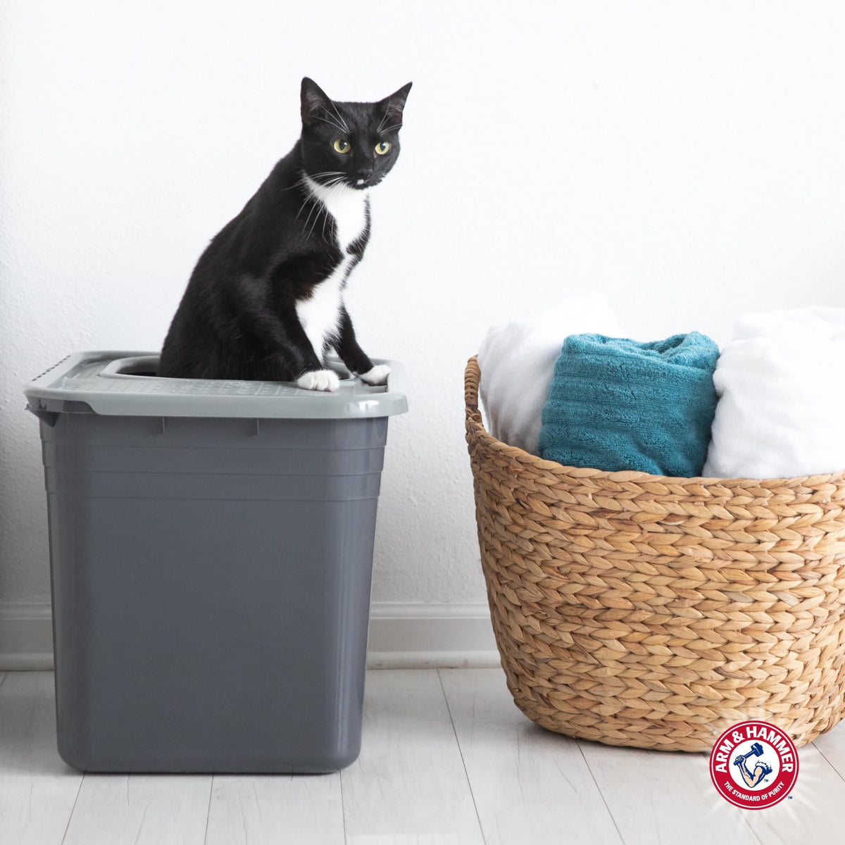 Top Entry Litter Box with Filter J496