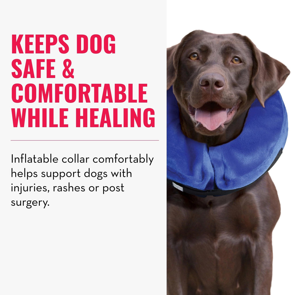 X-Large Dog Collar U420875