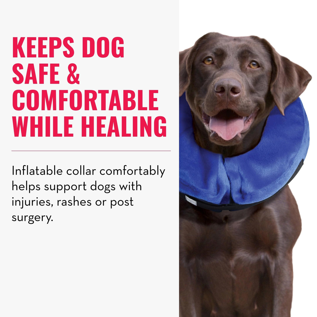 X-Large Dog Collar U420875