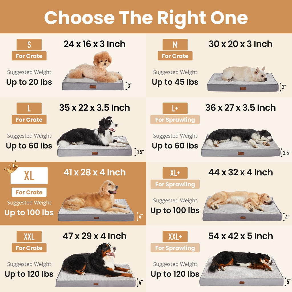 Large Reversible Memory Foam Dog Bed A746830