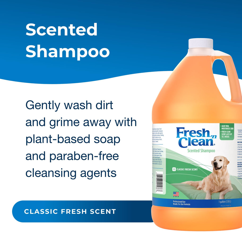 Scented Shampoo with Vitamin E & Aloe Vera Y2241
