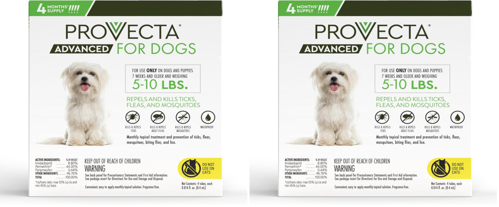 Small 5-10 lb Dog (Pack of 2) P51260