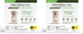 Small 5-10 lb Dog (Pack of 2) P51260