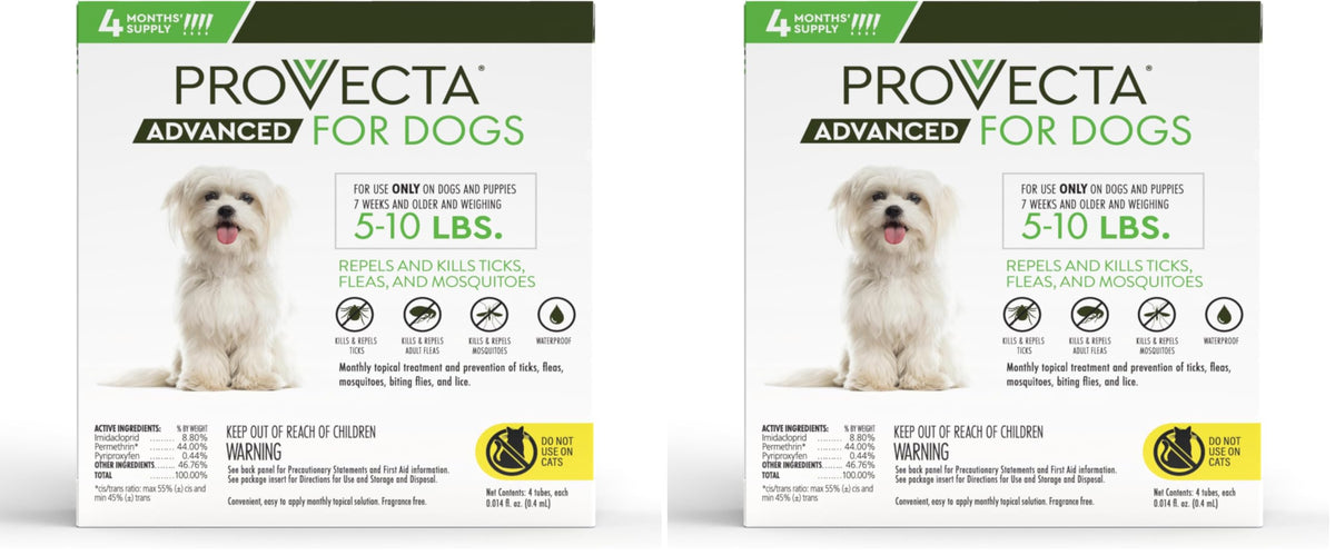 Small 5-10 lb Dog (Pack of 2) P51260
