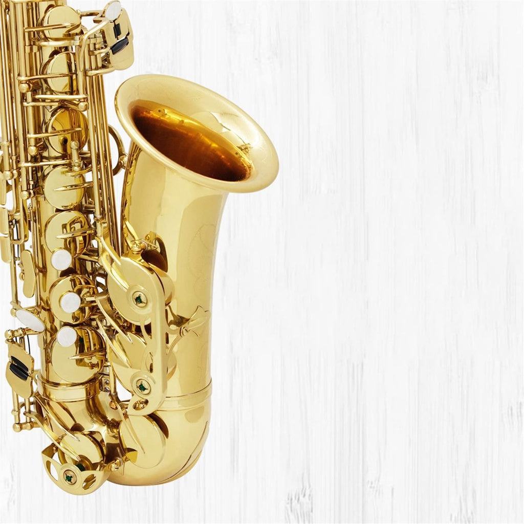 Alto Saxophone Brass Tube in E Flat O287