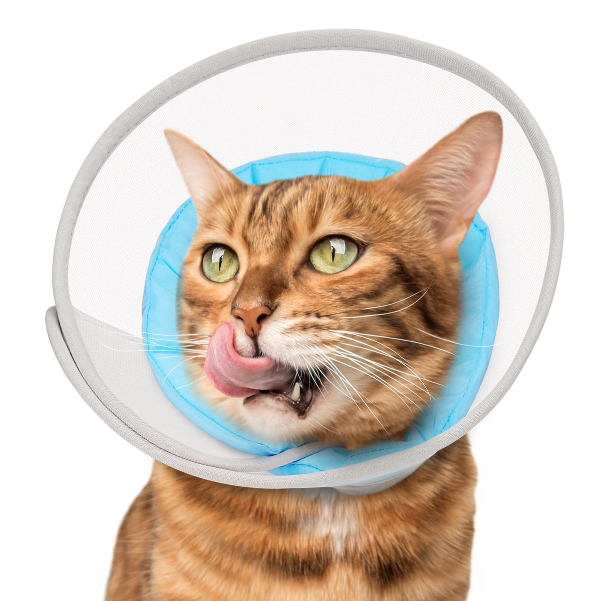Soft Waterproof Mesh Cat Recovery Cone Collar Q87927