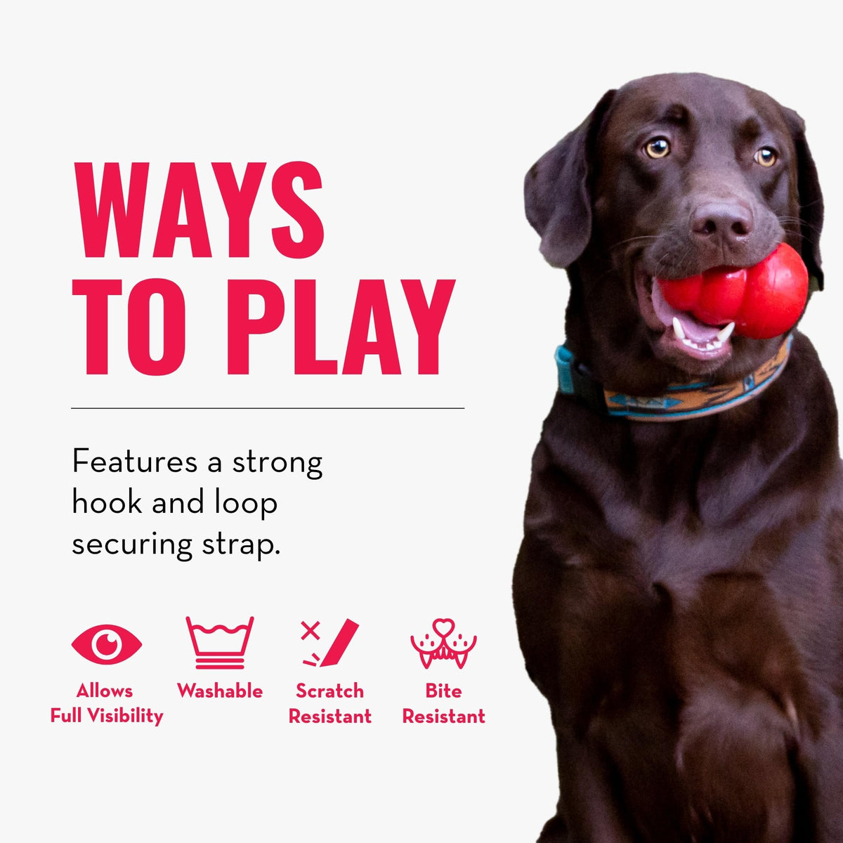 X-Large Dog Collar U420875