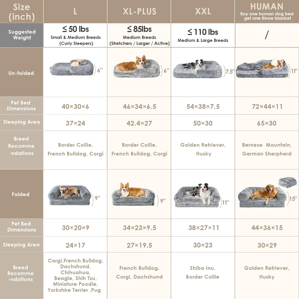Foldable Orthopedic Dog Bed B883