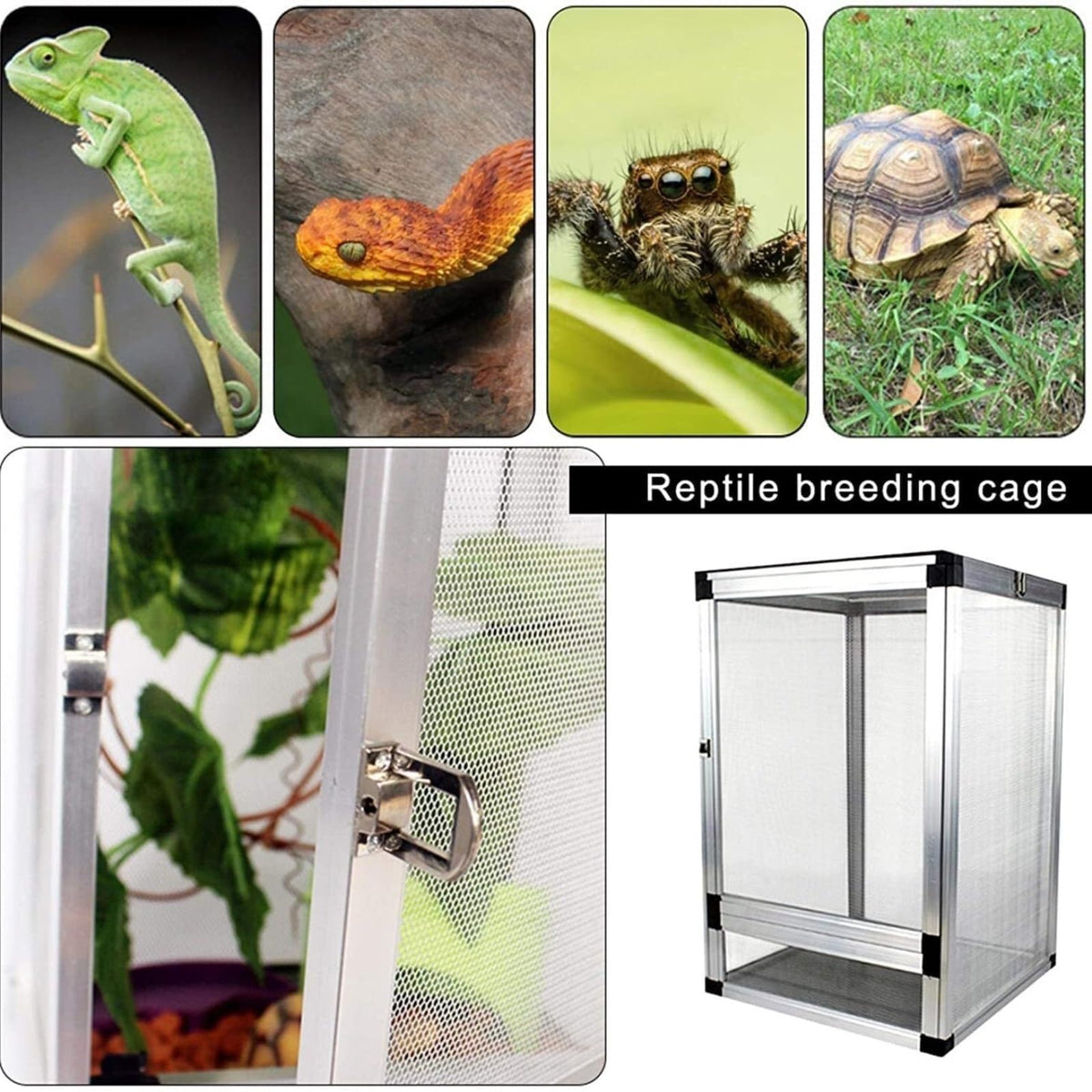 Aluminum Insect Breeding Box Reptile Habitat B25521