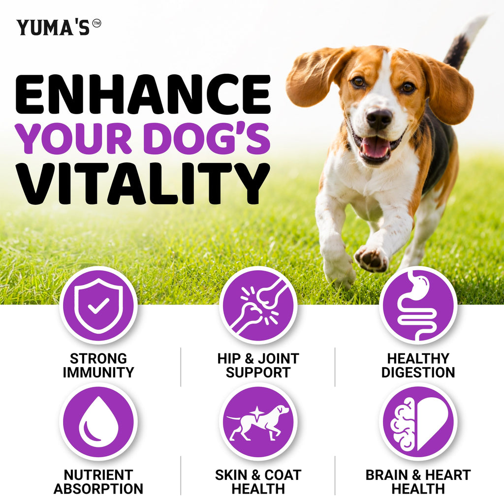 Dog Multivitamin with Glucosamine, 240 Treats D236
