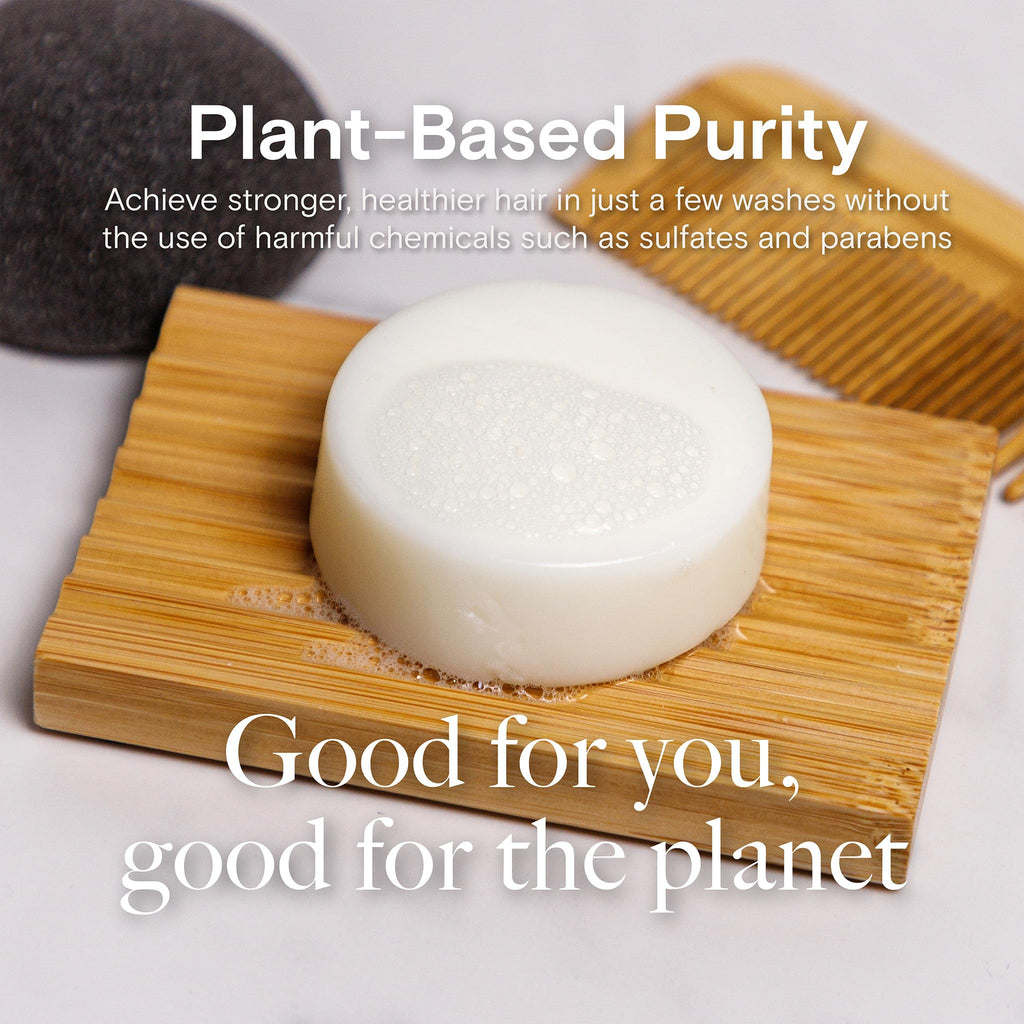 Bamboo Coconut Shampoo and Conditioner Bar Set C84550