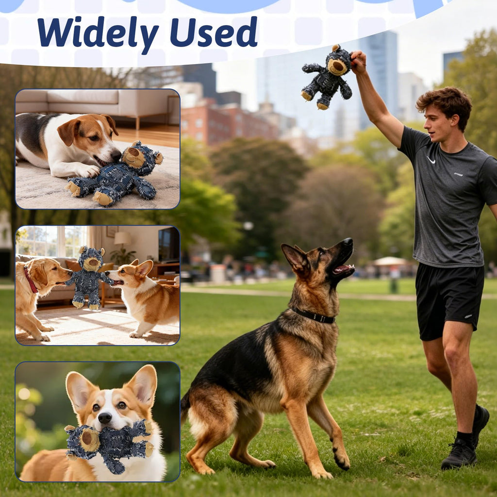 Squeaky Plush Dog Toy N213254