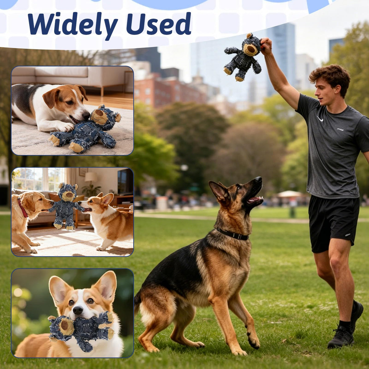 Squeaky Plush Dog Toy N213254