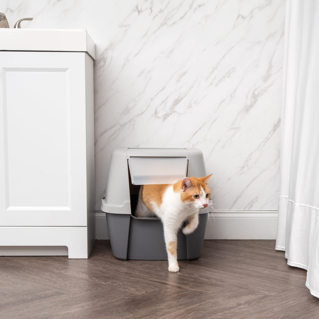 Large Front Door Cat Litter Box Gray F726605