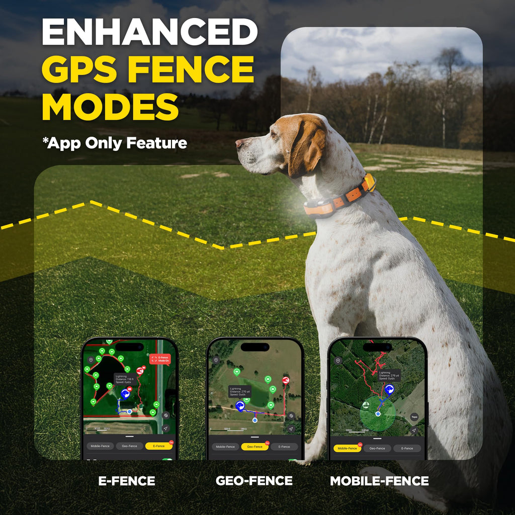 GPS Dog Tracking and Training System G309