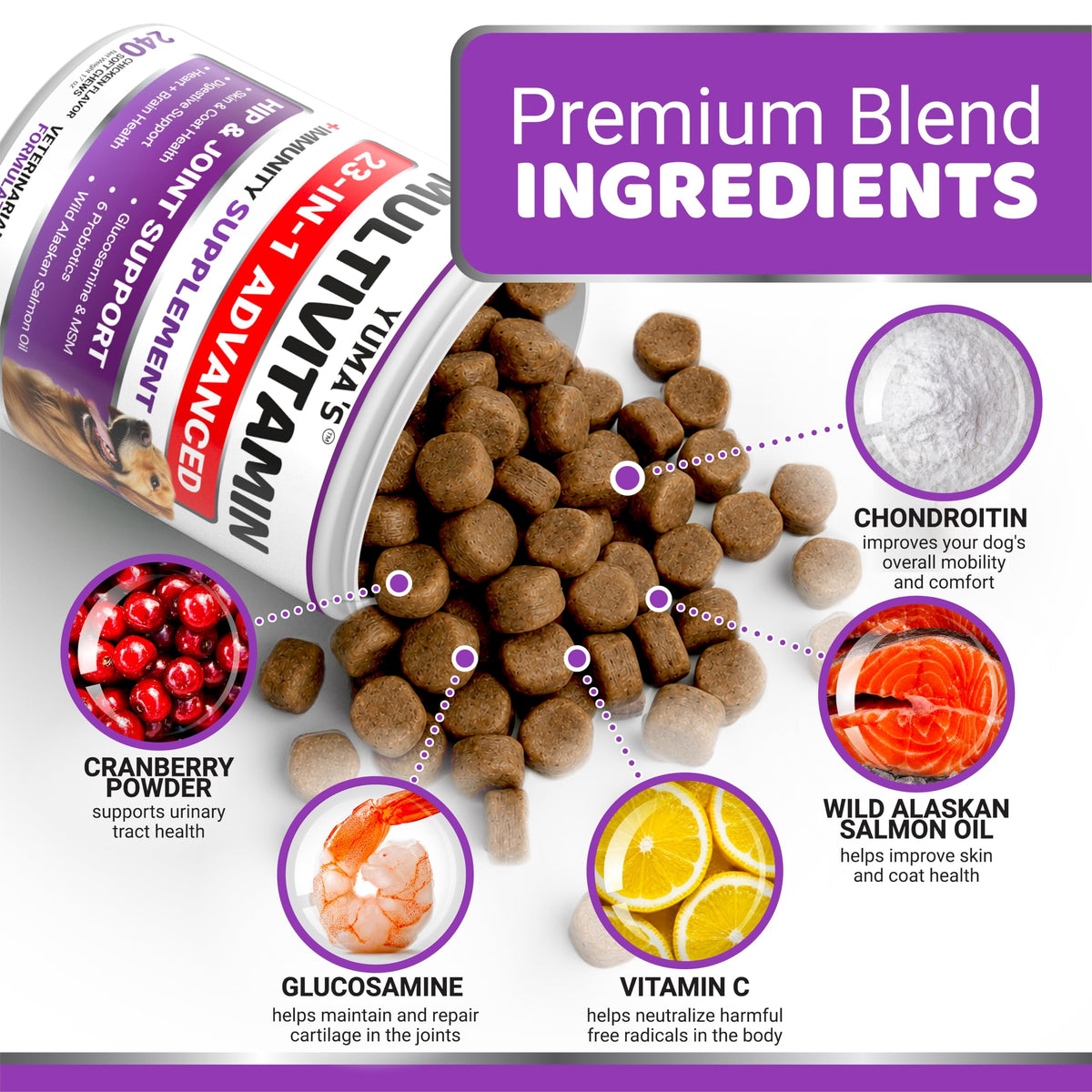 Dog Multivitamin with Glucosamine, 240 Treats D236