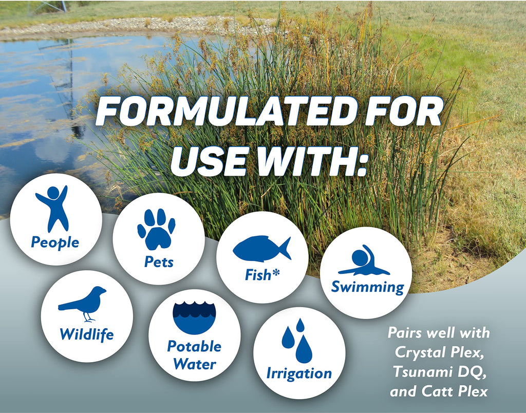 Aquatic Surfactant Quart V151